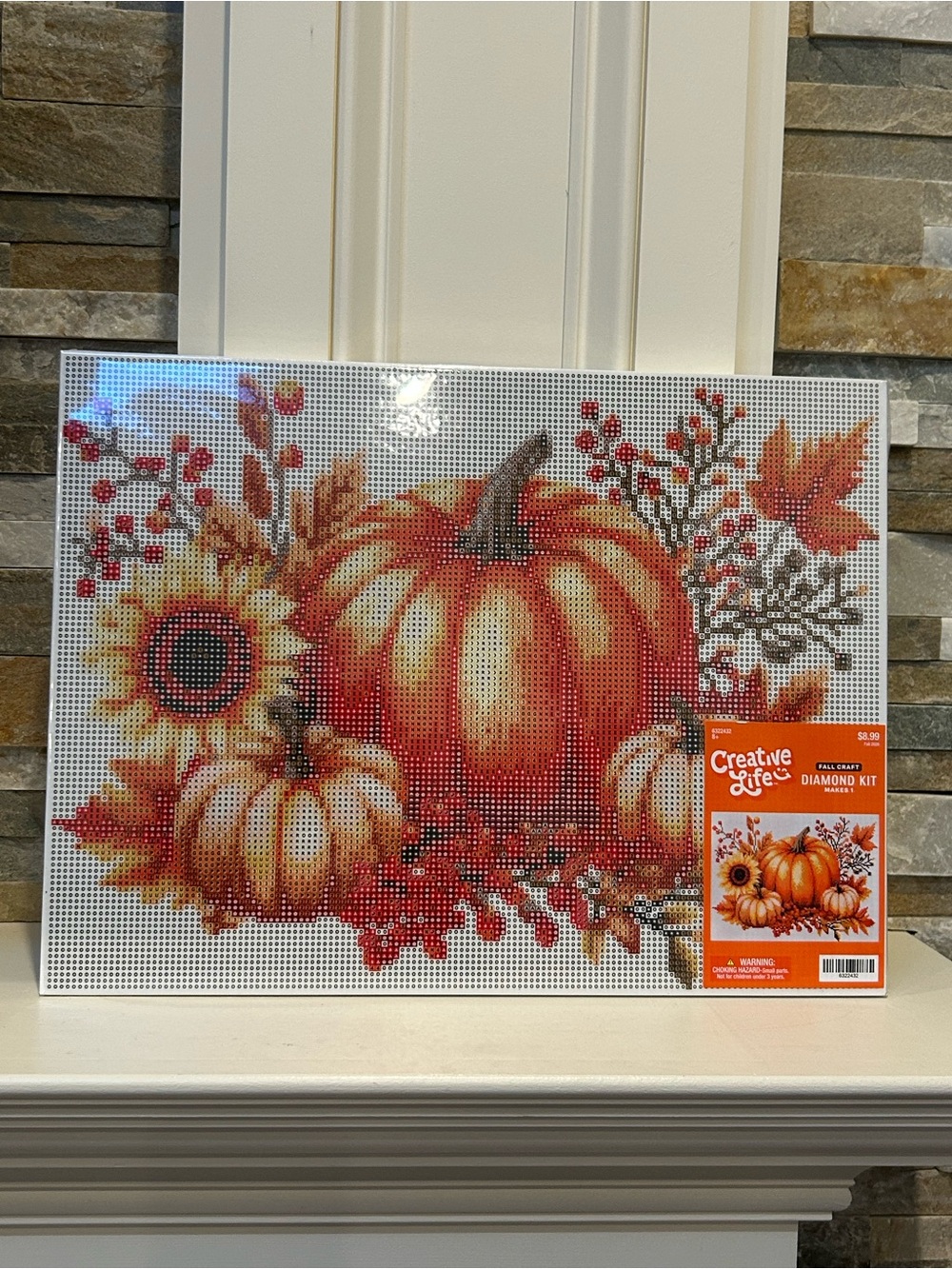 Fall Orange Pumpkin & Sunflower Diamond Art Canvas